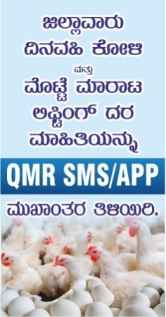 QMR POULTRY EGG ADD